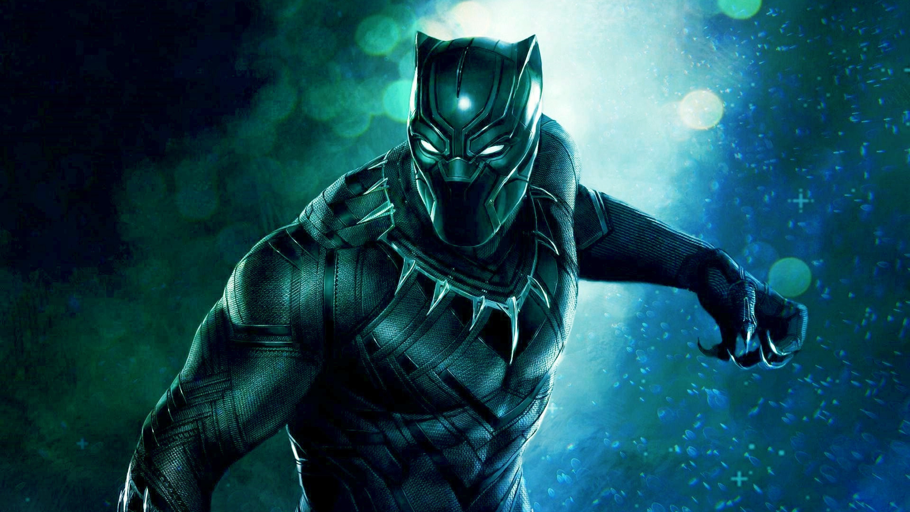 4k Image Of Black Panther Superhero HD Wallpaper