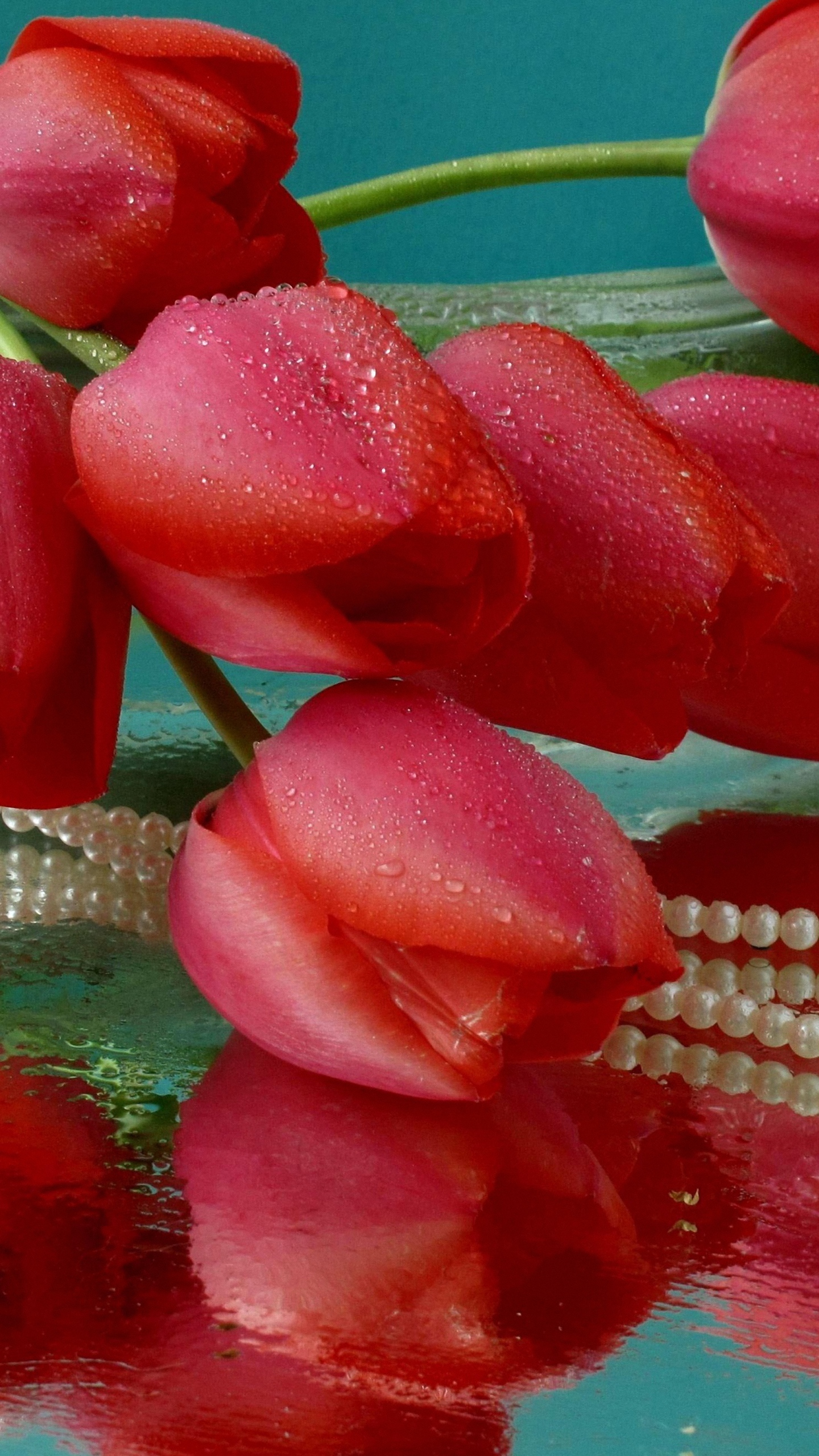 Reflection Water Vase Tulip Flower Drop Wallpaper For Lg G4