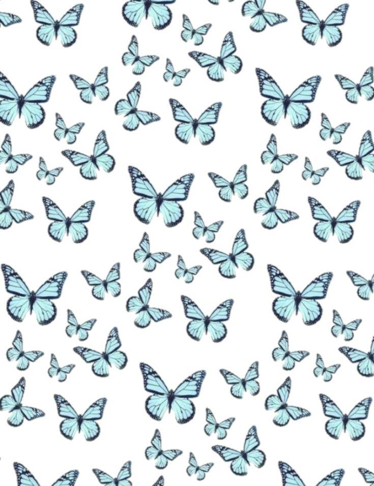 Cute Butterfly Blue And White Background Aesthetic Trendy Cool