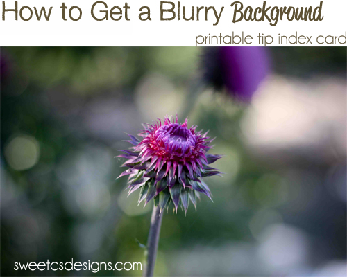 To get lovely bokeh blurred backgrounds you need to be mindful of