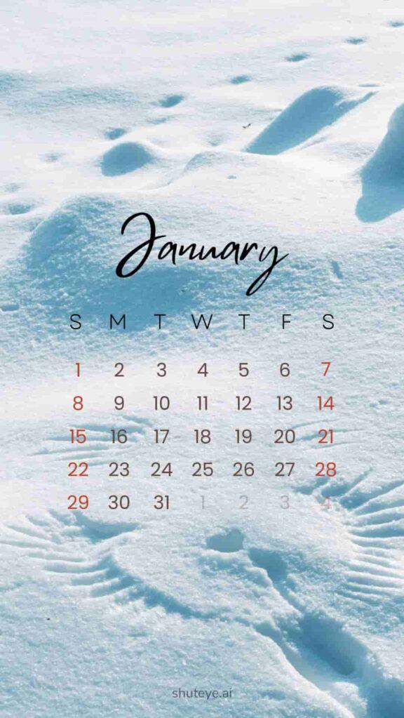 Printable January Calendar 2023 Free Printable Calendars   ShutEye