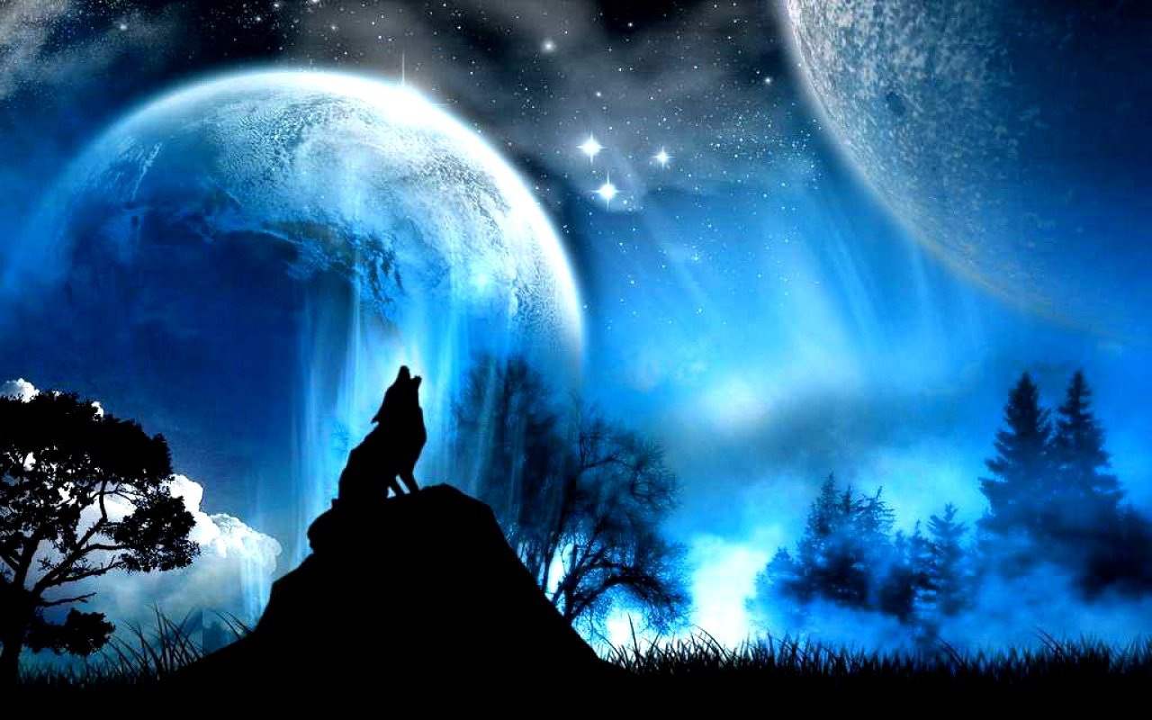 Fantasy Image Wolf Wallpaper Photos