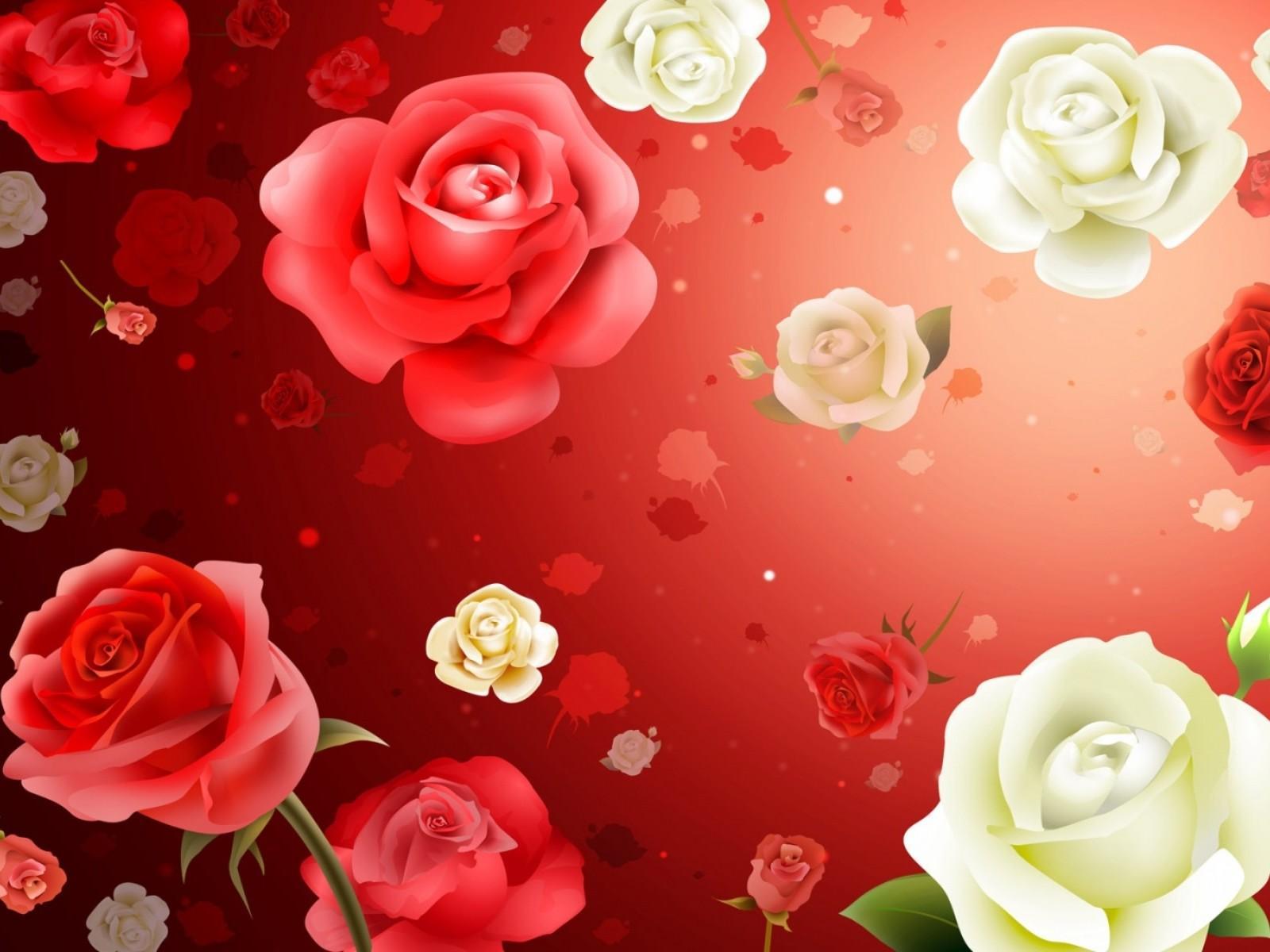 Beautiful Rose Wallpaper