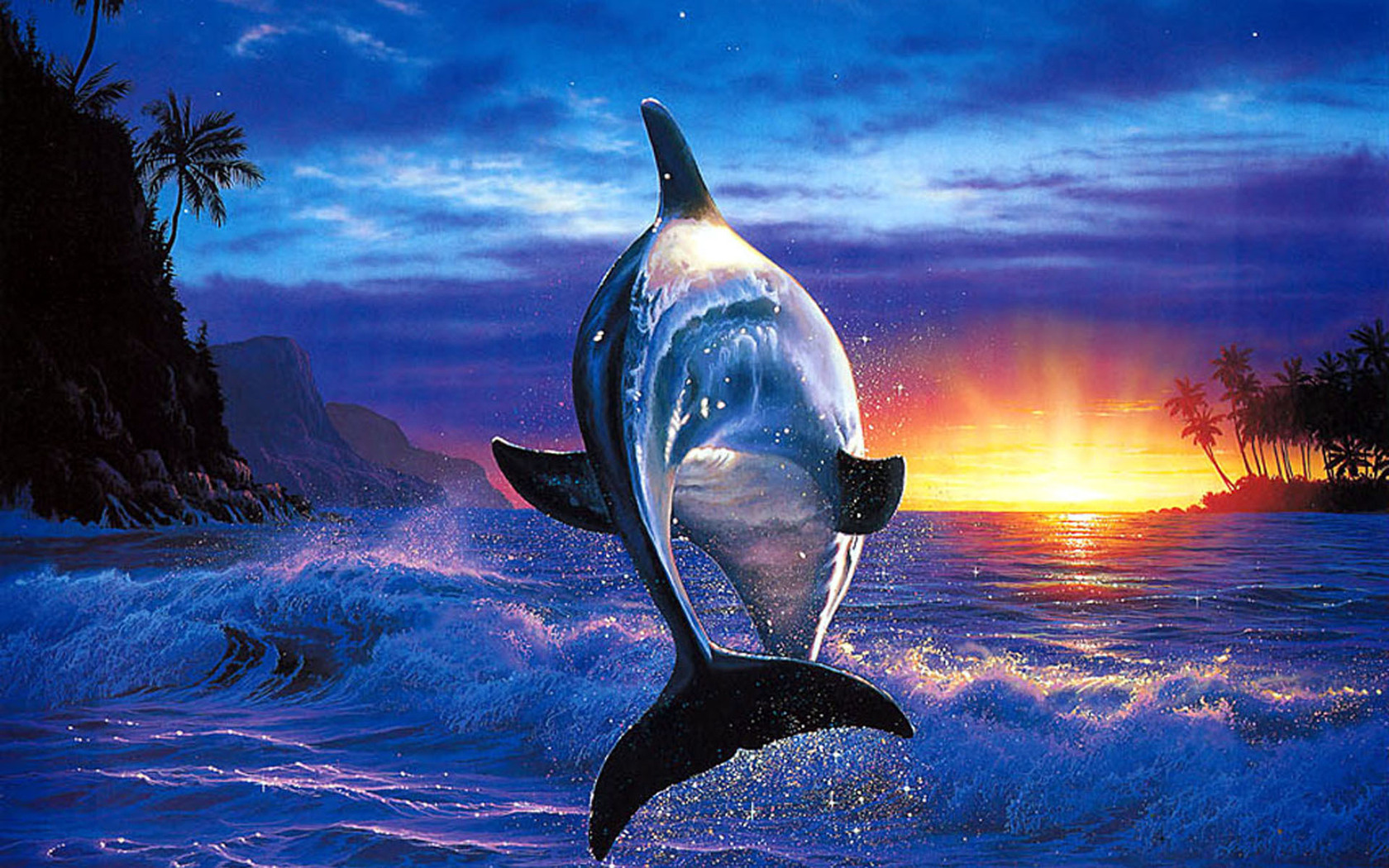 Dolphin Wallpaper Sea Blue Aquarium Beautiful HD