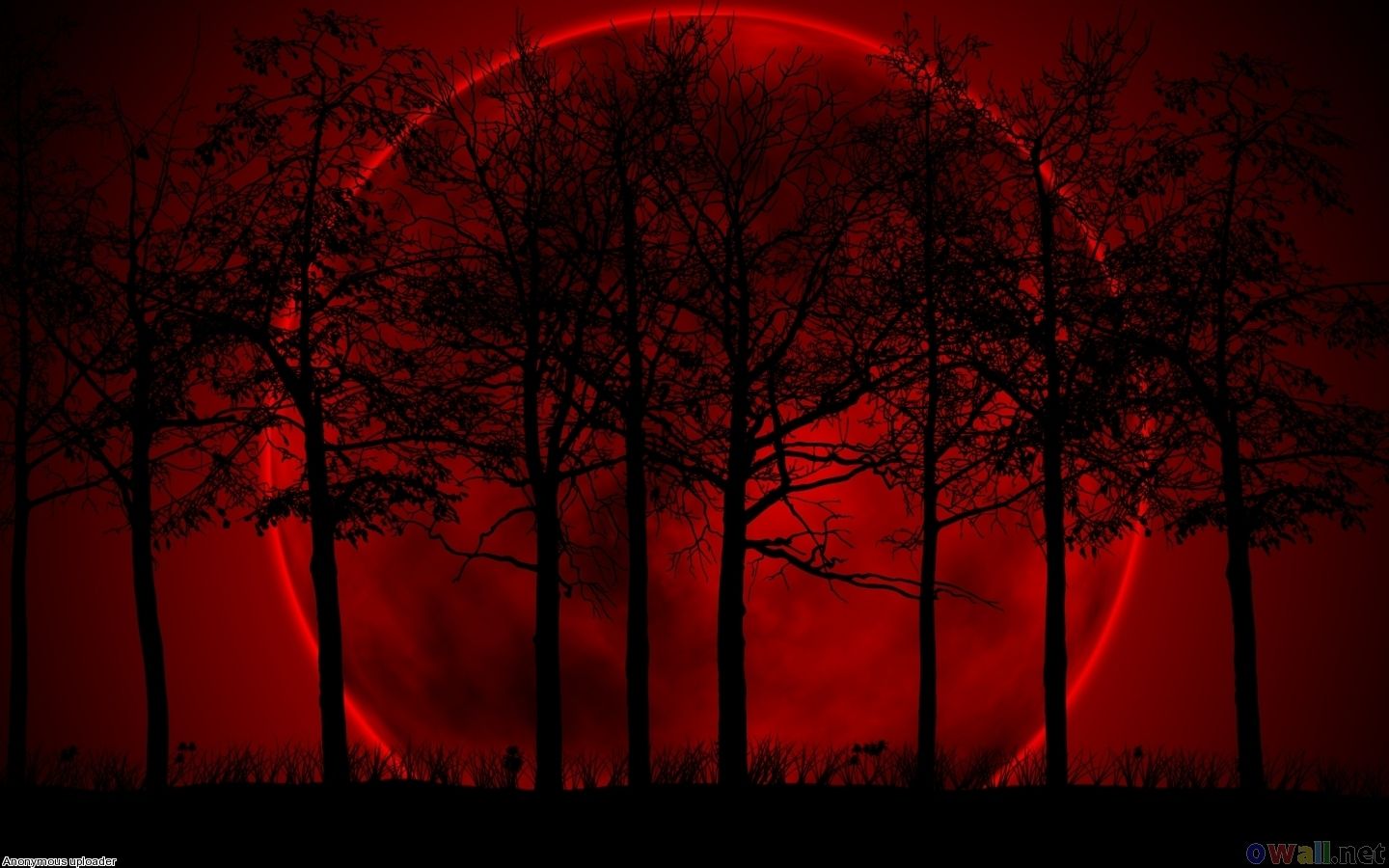 Red Moon Wallpaper HD Base