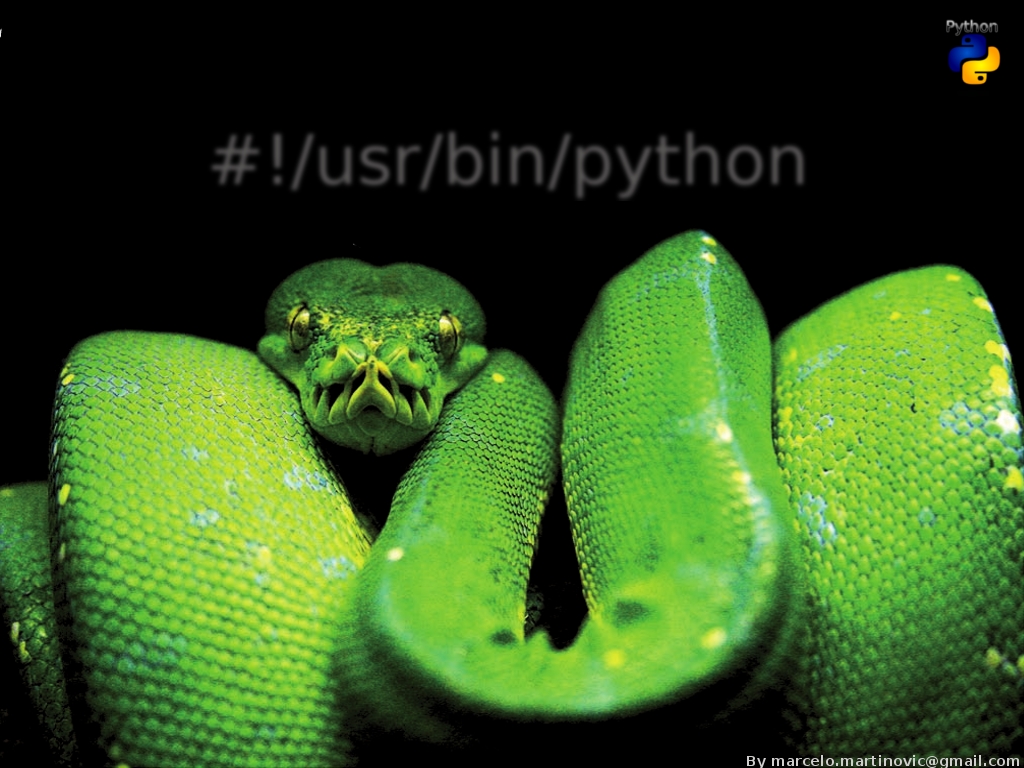 Python Logo Wallpaper Python wallpaper2