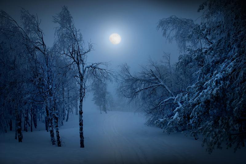 Winter Moon By