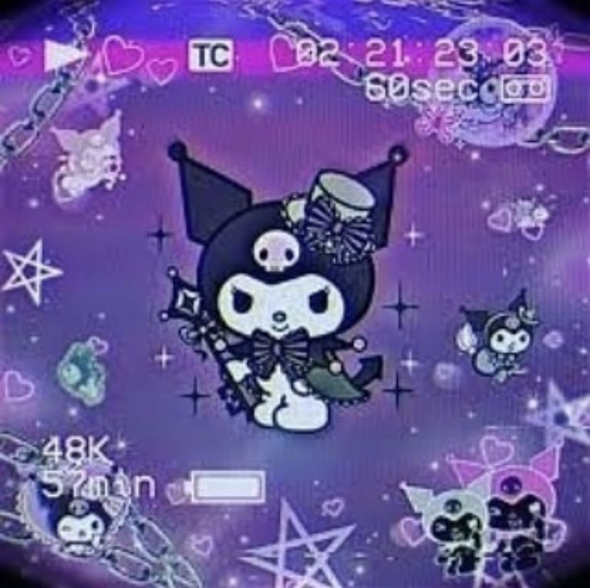 Feral Raccoon On Pfp For Ig Hello Kitty iPhone