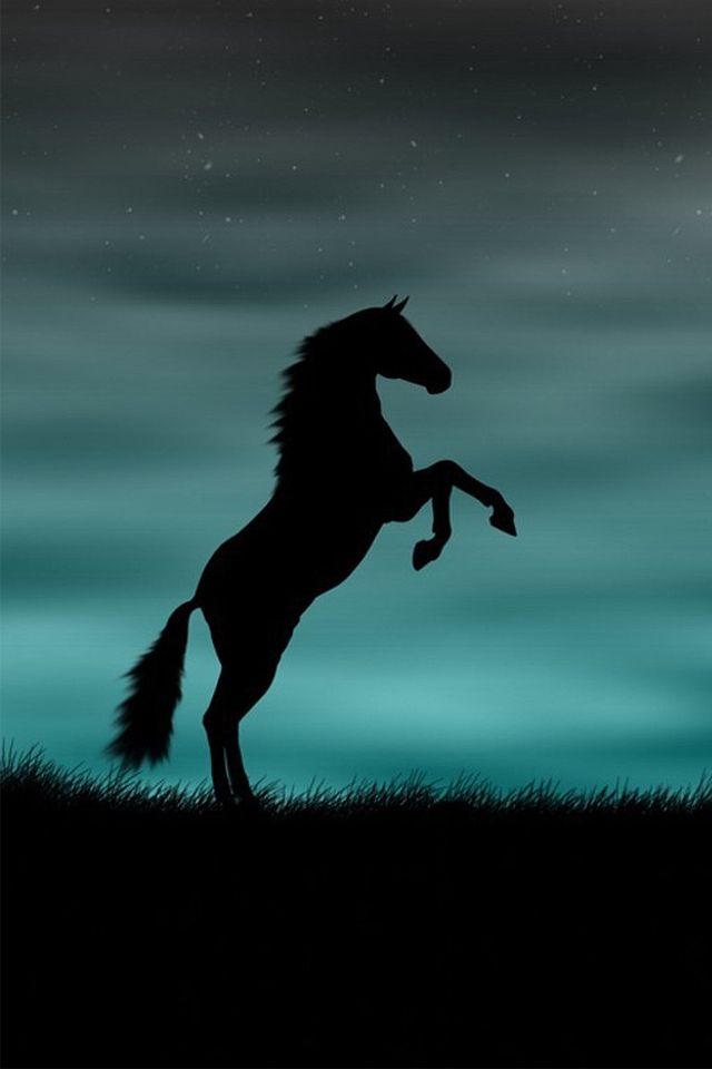 iPhone 4s Background Horse Rising Up Wallpaper And All S