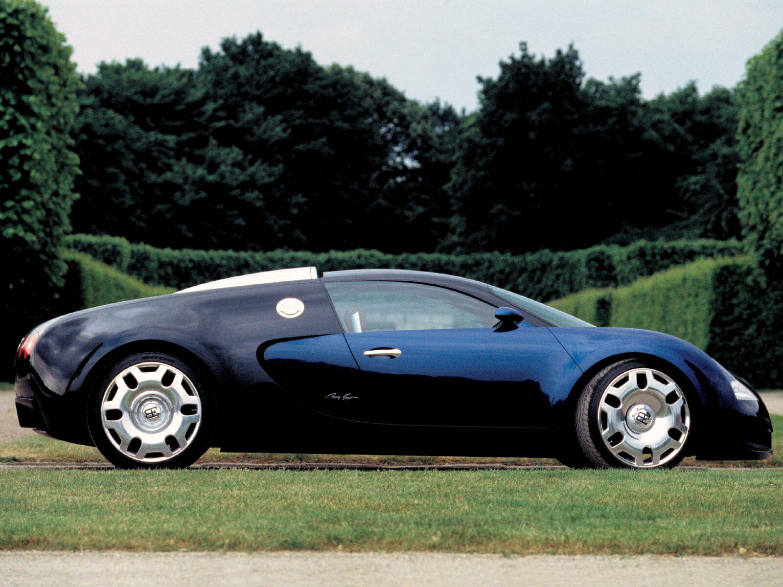 Bugatti Eb Veyron Wallpaper Pictures