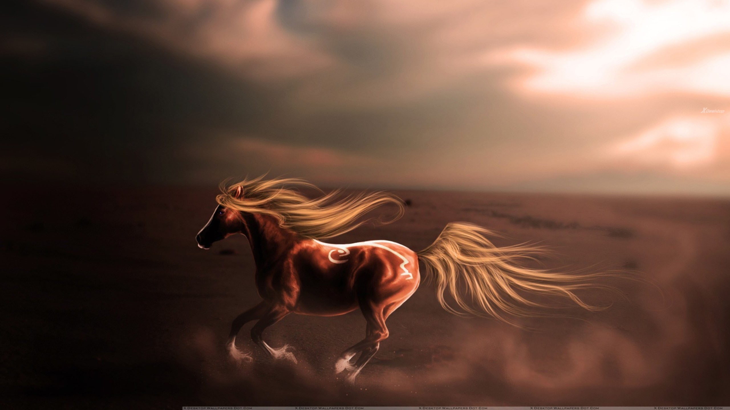 Majestic Horse Running In The Desert Wallpaper