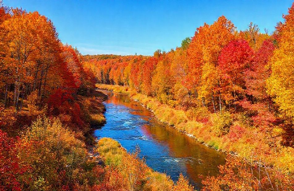 Autumn Wallpaper