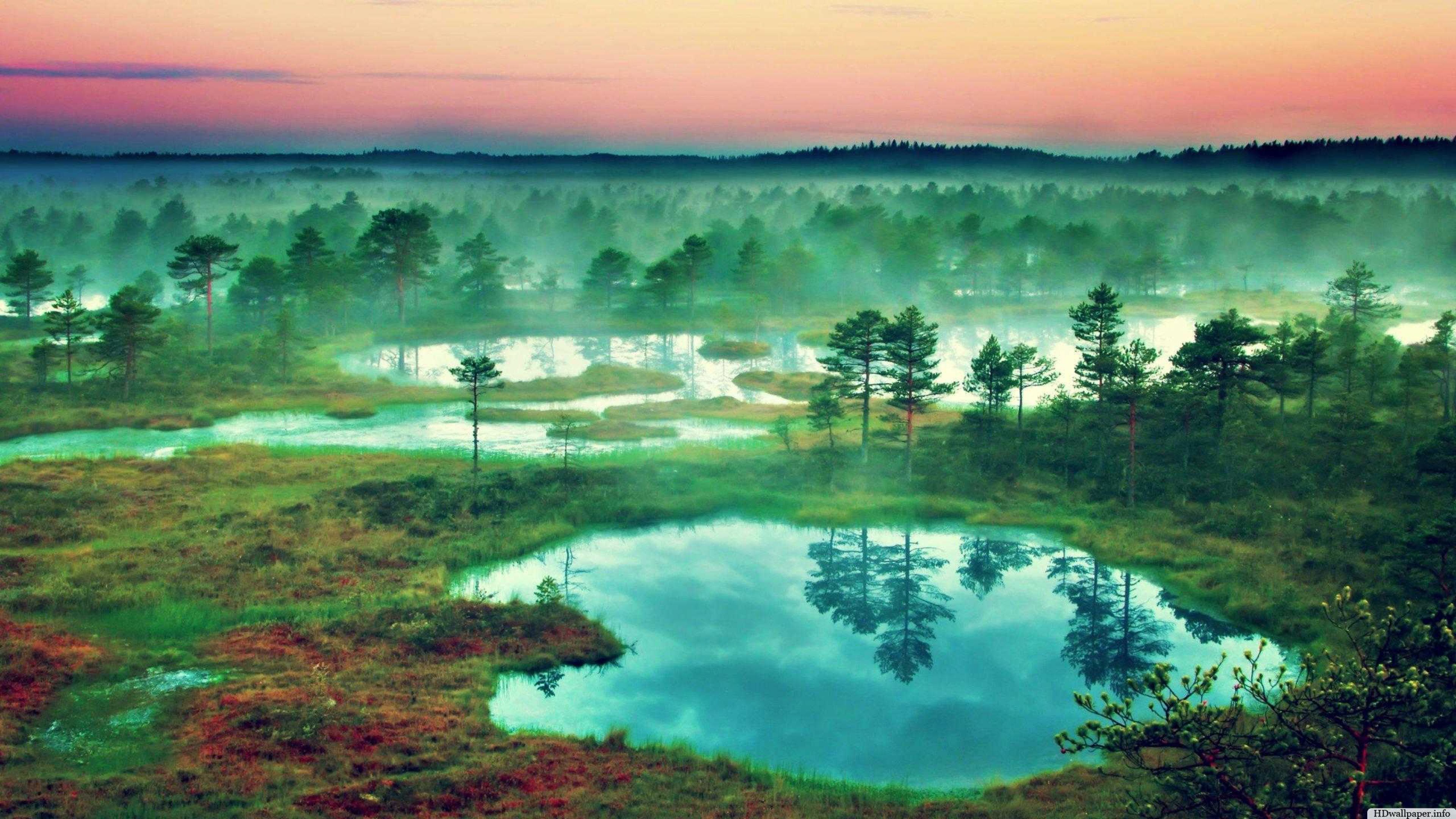 4k Nature Wallpaper