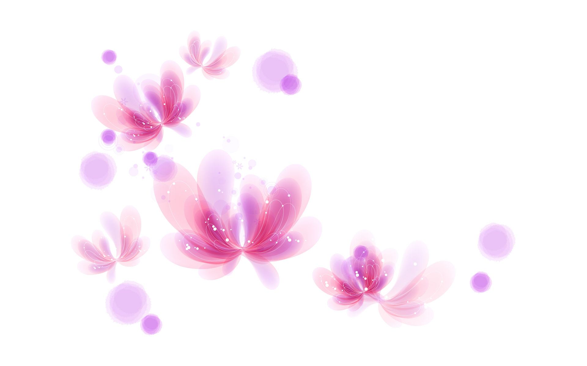 Wallpaper For Gt Pink And White Butterfly Background