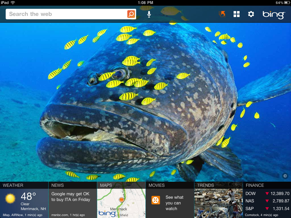 Bing S Penguin Update With Desktop V1
