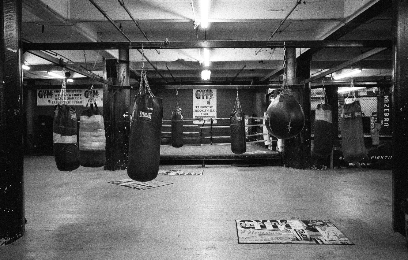 Wallpaper Boxing Gym Everlast images for desktop section 1332x850