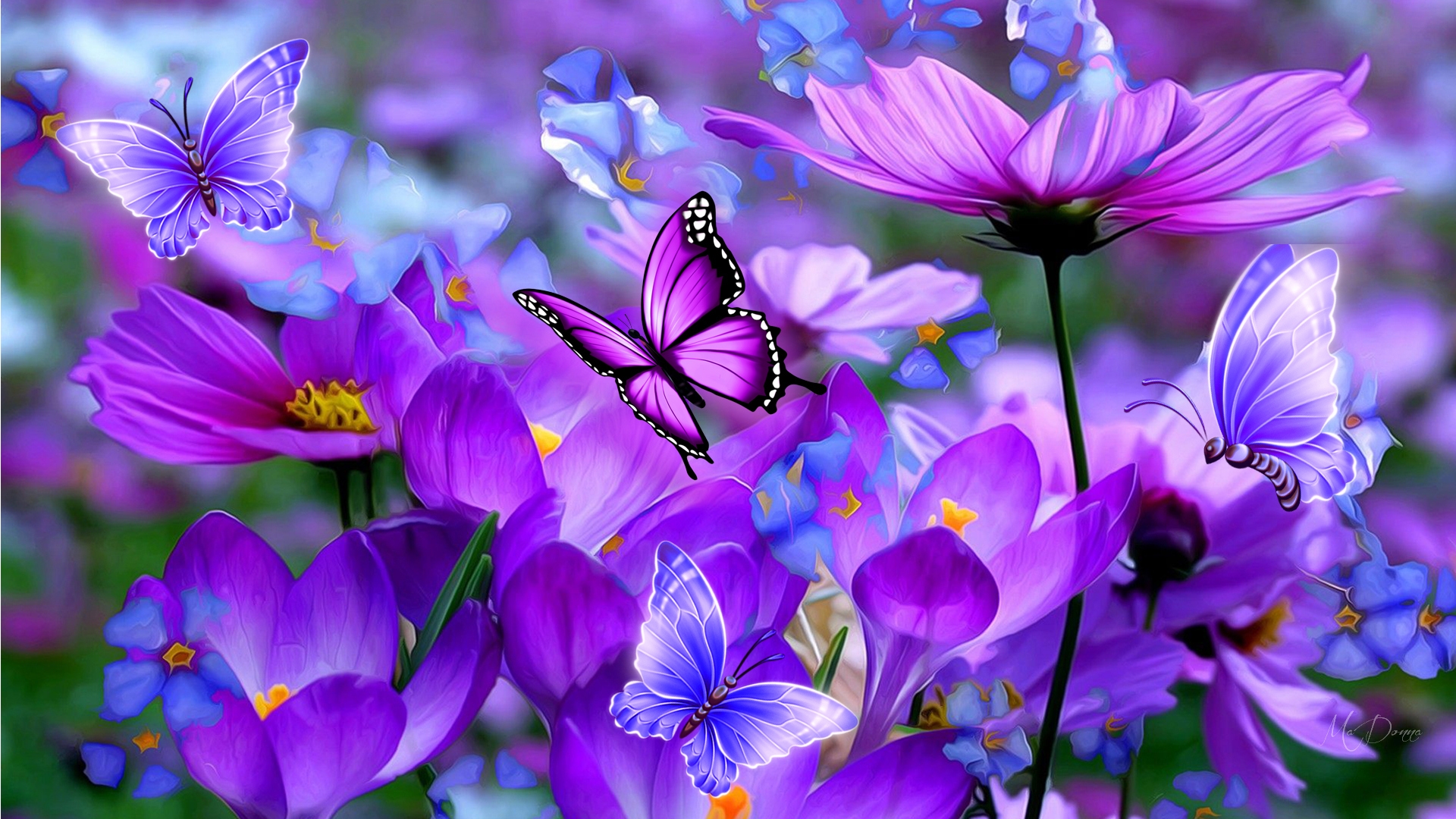 Butterfly Symphony Wallpaper