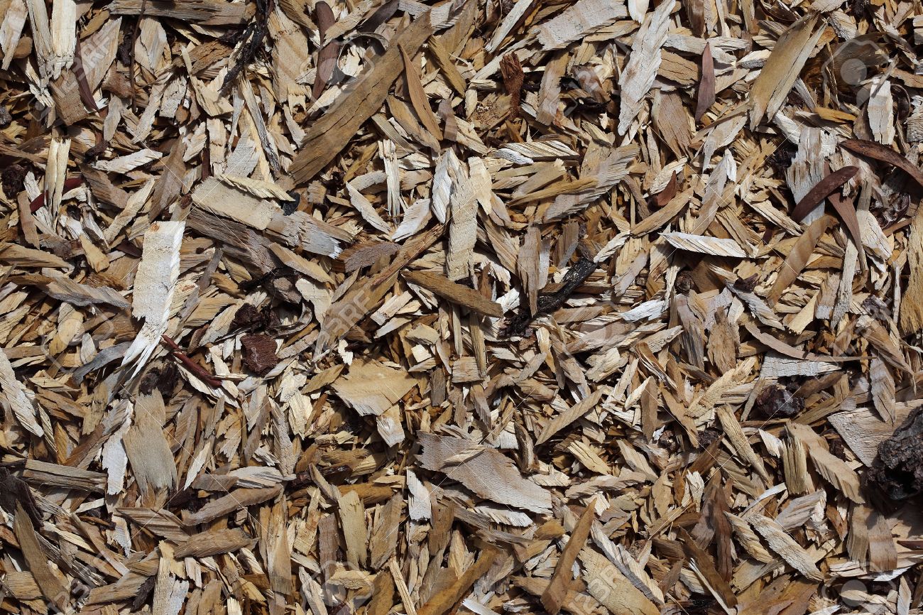 Pine Timber Wood Chip Background Texture Stock Photo Picture And