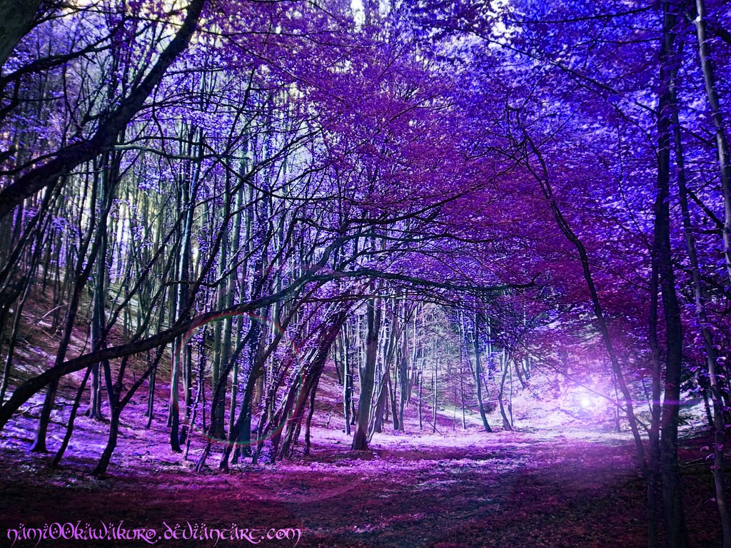 Purple Trees Ing Gallery