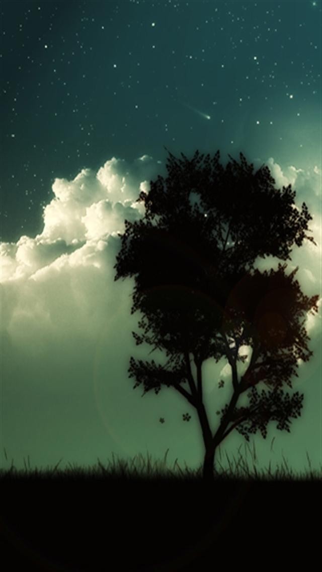 Night Sky 01 iPhone Wallpapers iPhone 5s4s3G Wallpapers
