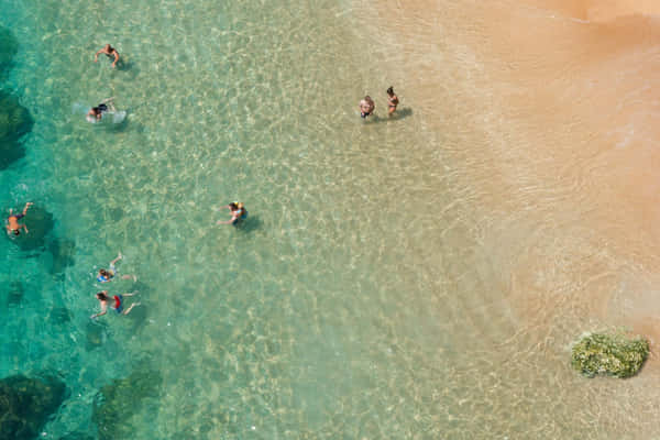 Shallow Beach Wave Wallpaper