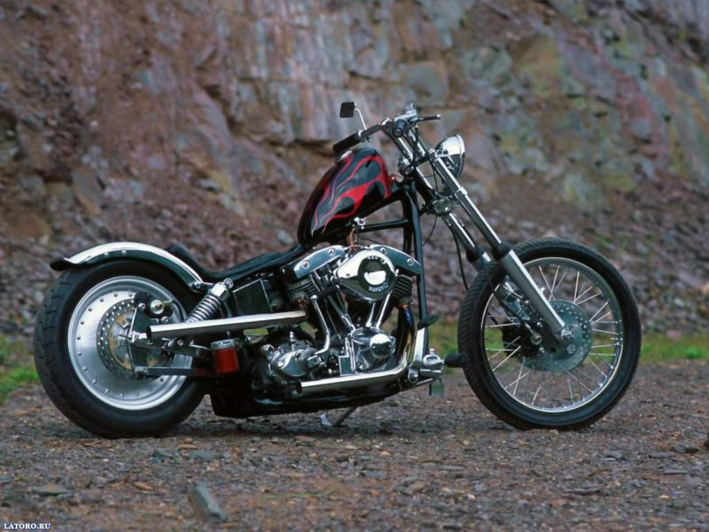 Harley Davidson Xl Rat Bobber Shovelhead Chopper