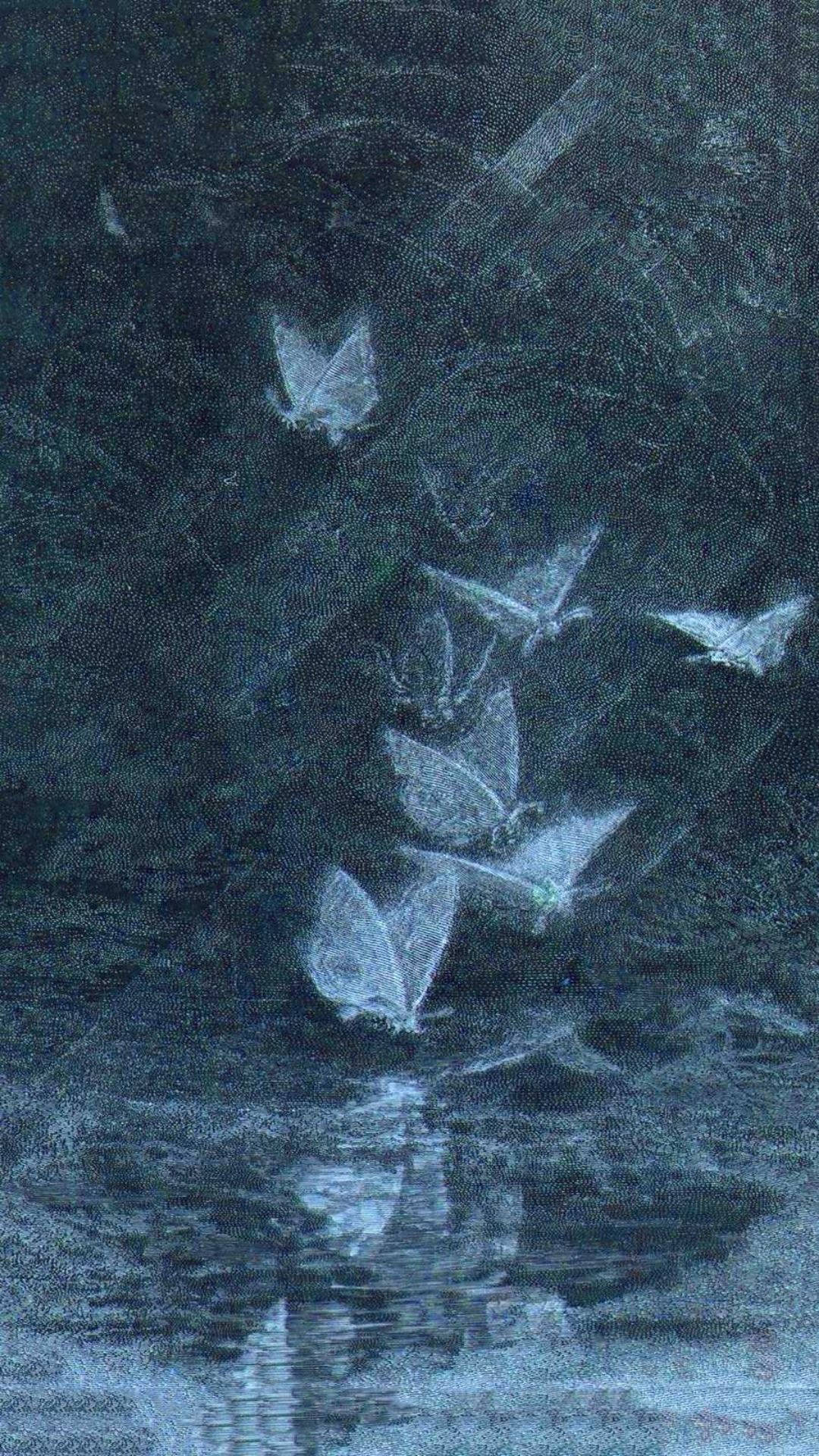 Fairy Aesthetic Wallpaper