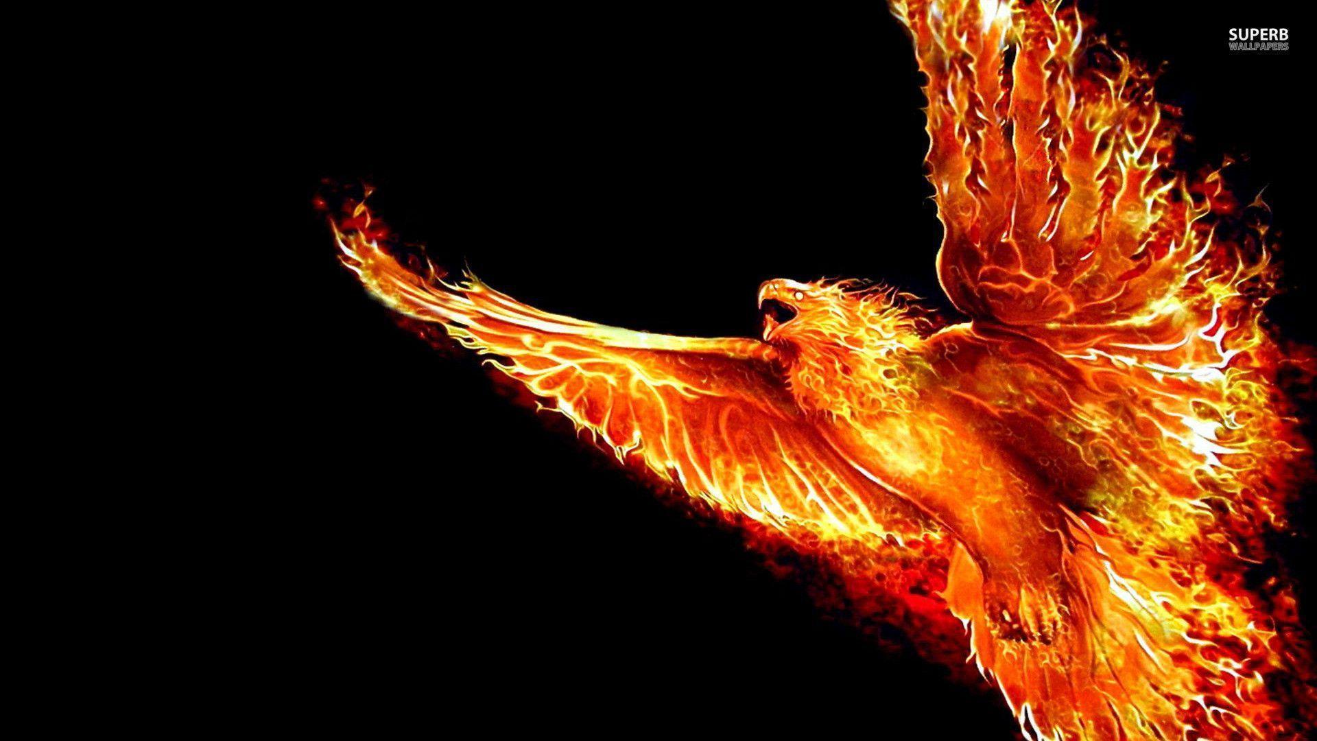 Free download Phoenix Bird Wallpapers [1920x1080] for your Desktop, Mobile  & Tablet | Explore 71+ Phoenix Bird Wallpaper | Phoenix Wright Wallpapers,  Phoenix Wright Wallpaper, Dark Phoenix Wallpaper