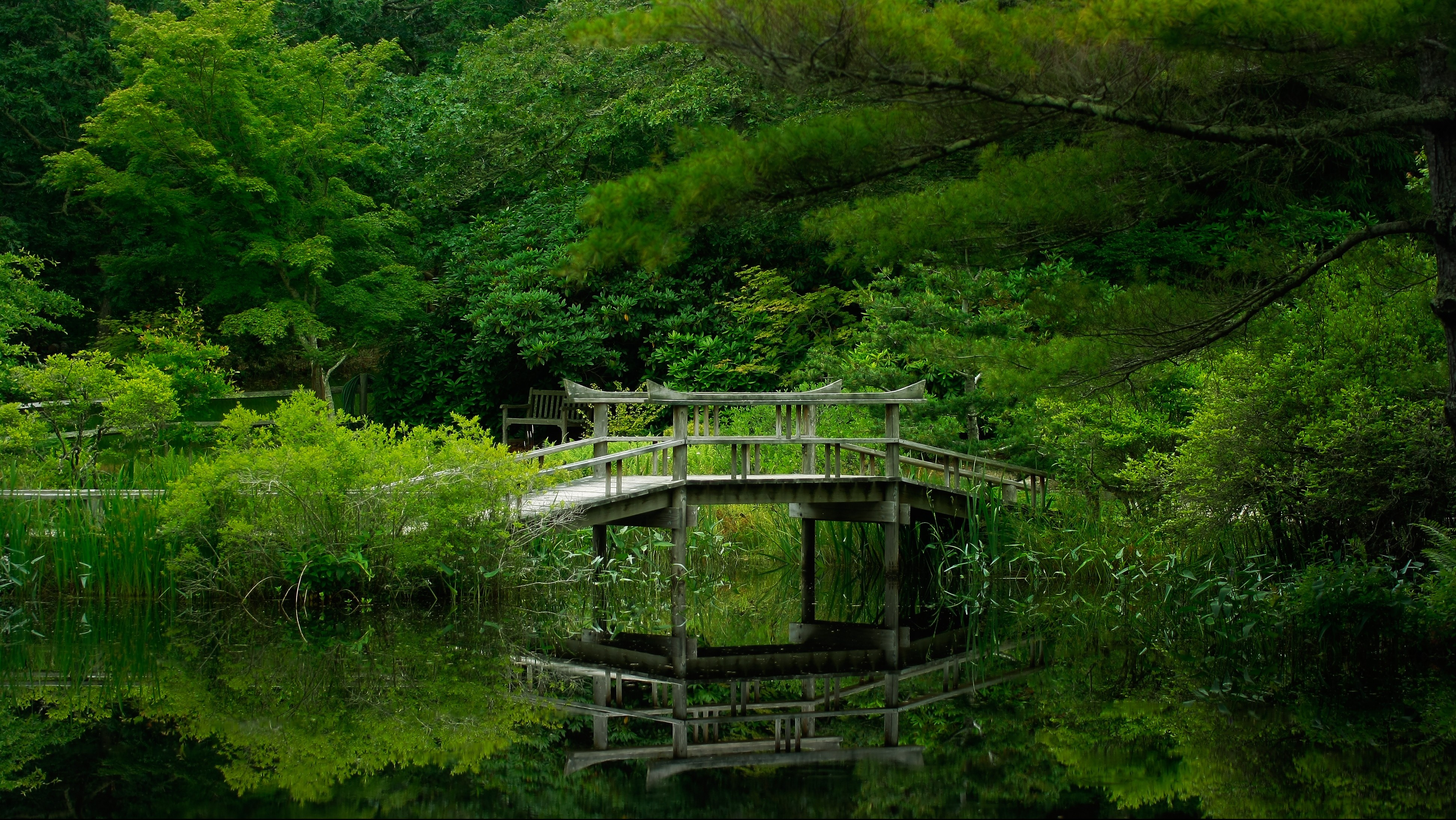 Lake Forest Bridge Nature Garden Reflection Wallpaper Background