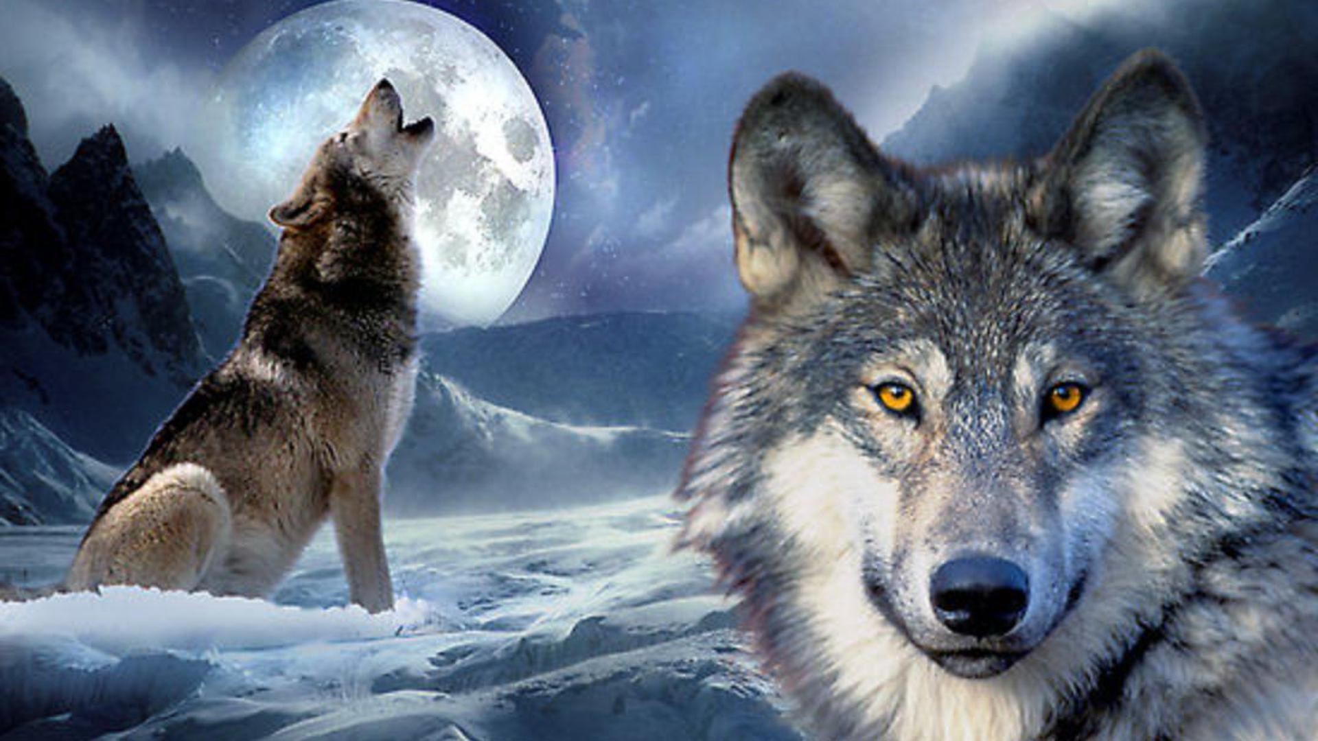 Tree Wolf Moon Wallpaper HD