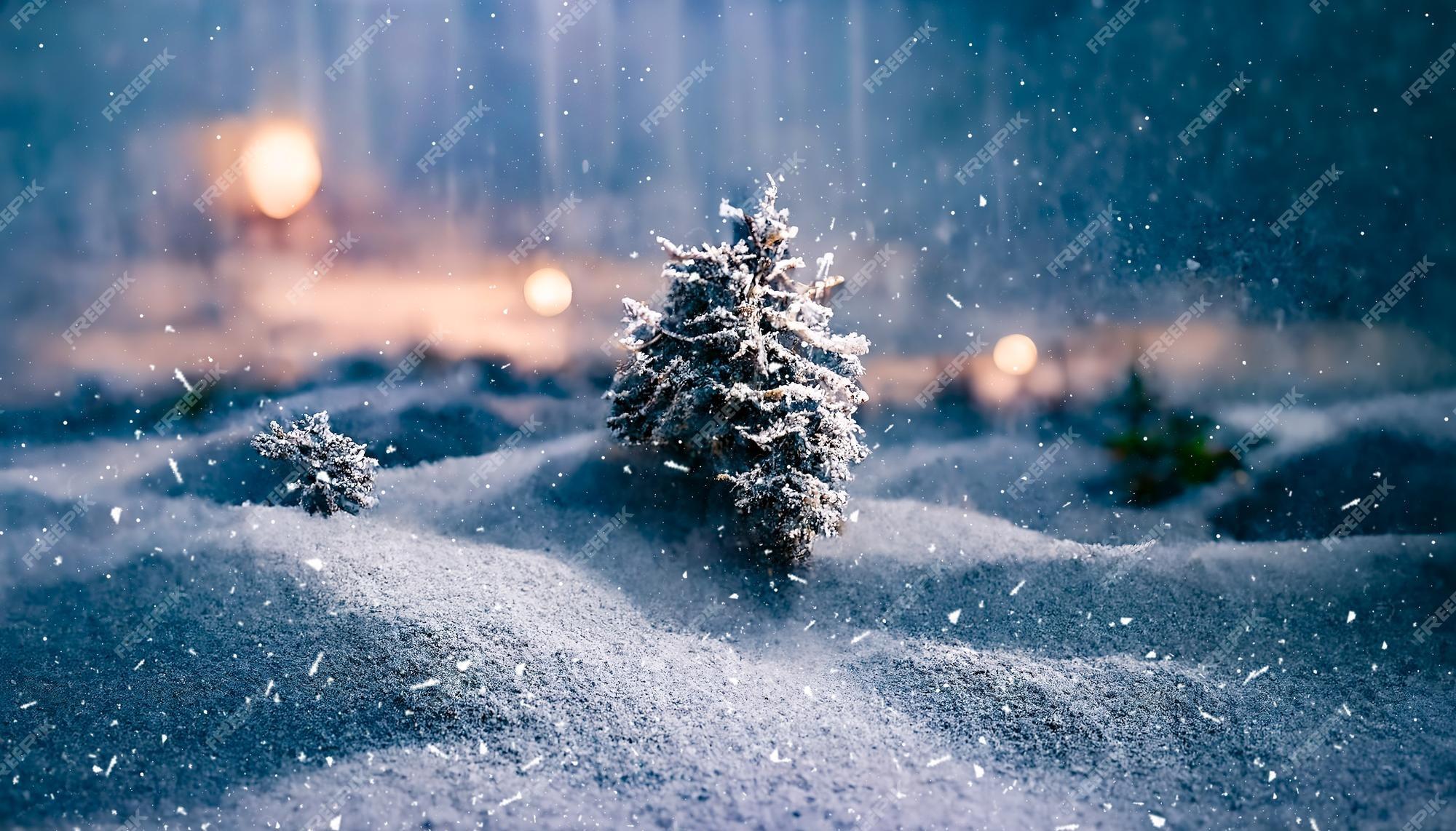 Premium Photo Winter landscape christmas trees in the snow