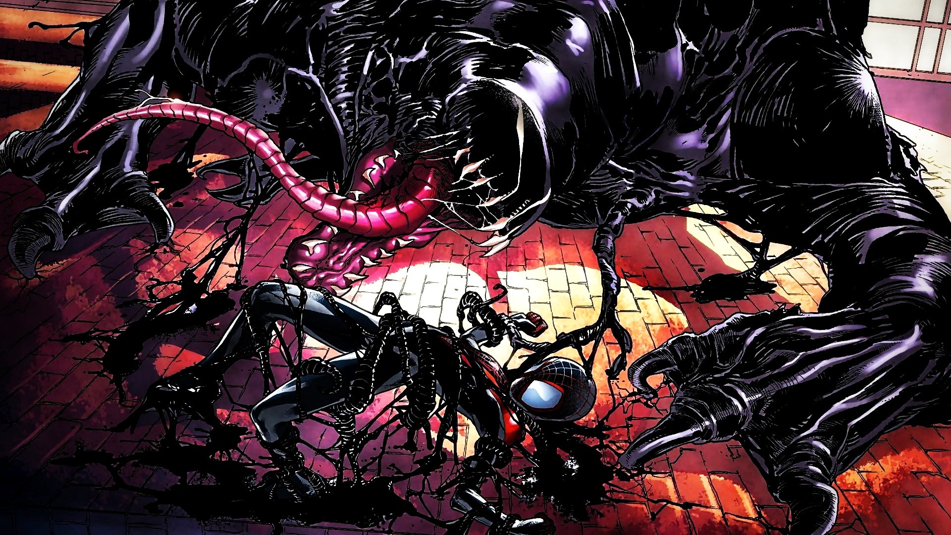 The Ultimate Spider Man Venom Spiderman Vs Wallpaper