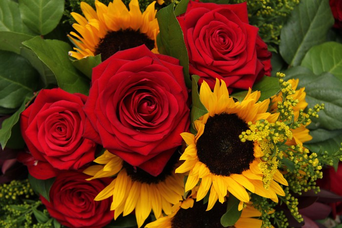 Sunflowers And Roses Wallpaper