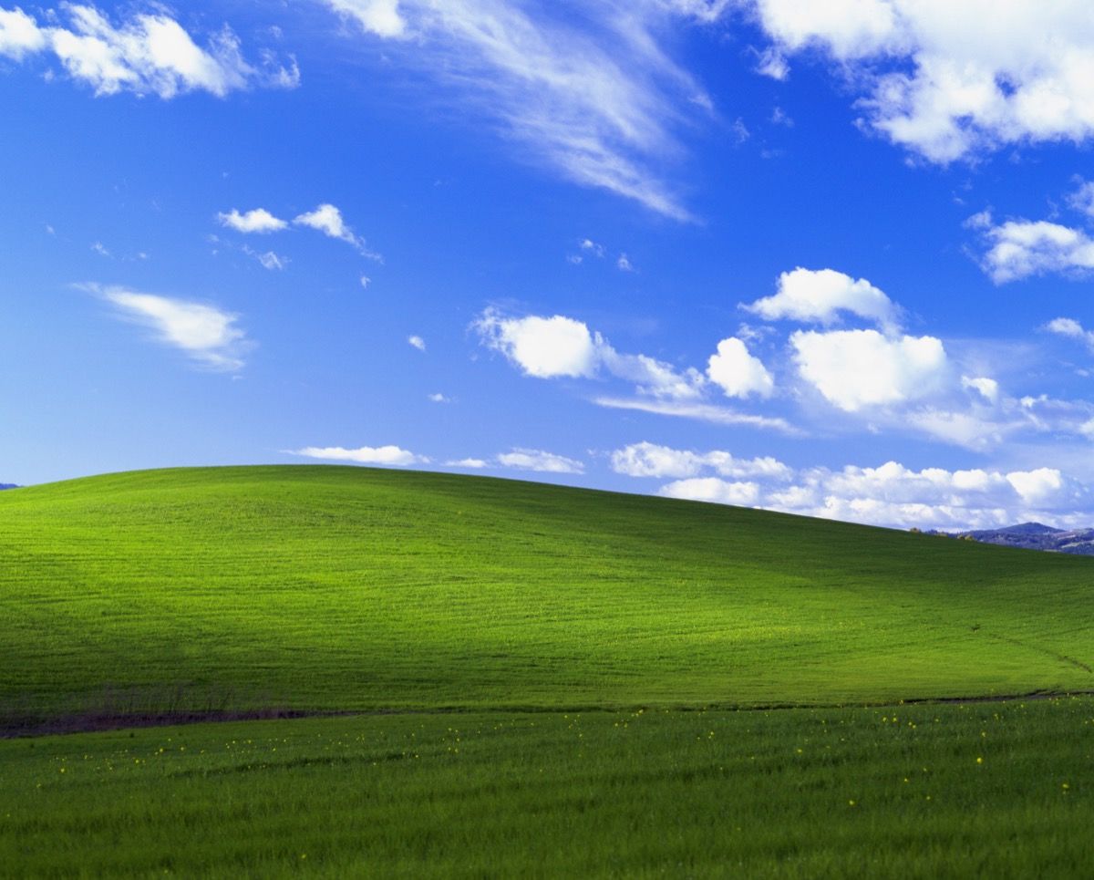 The Story Behind Famous Windows Xp Desktop Background Artsy