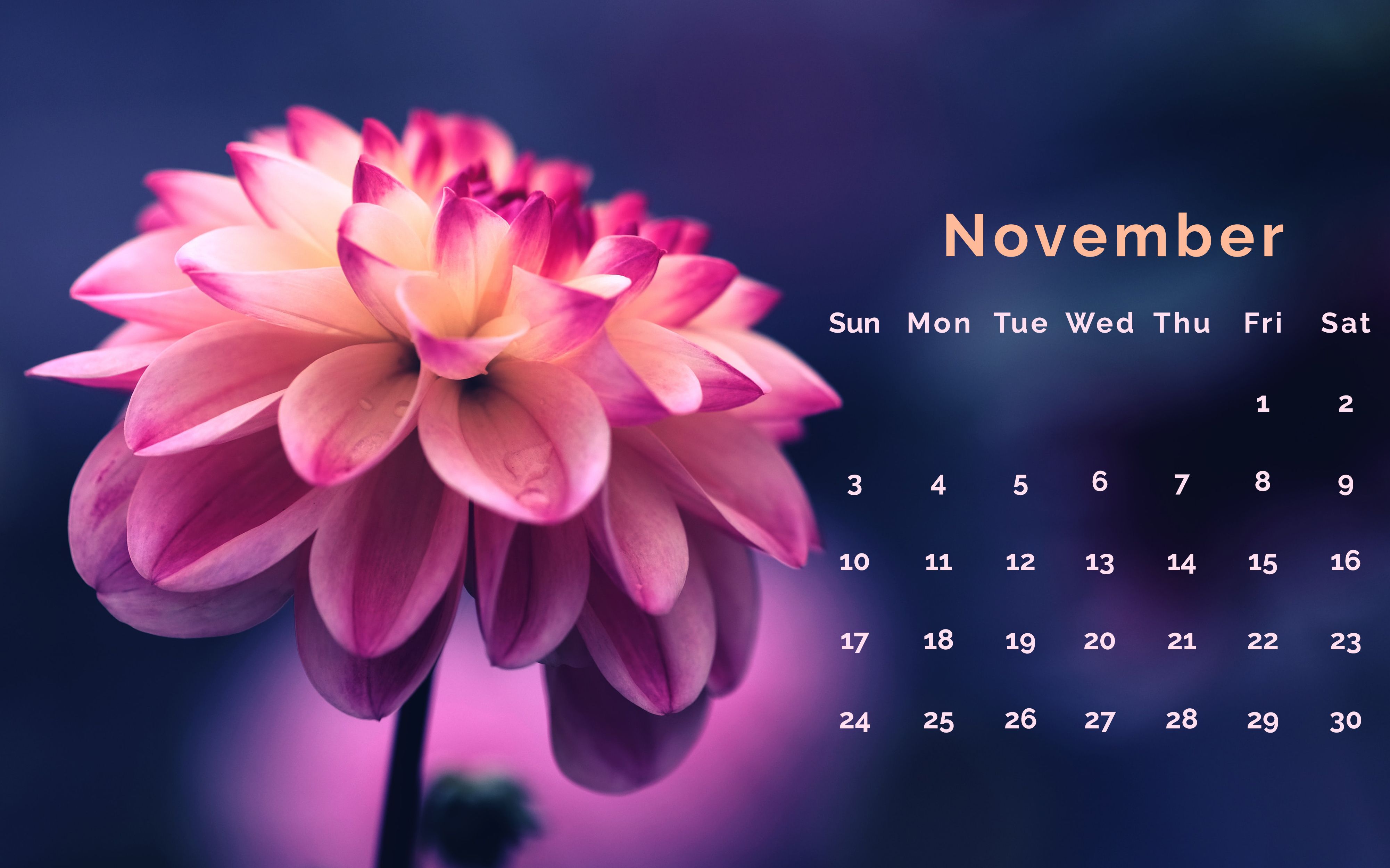 Floral November 2019 Desk Calendar Calendar wallpaper Calendar
