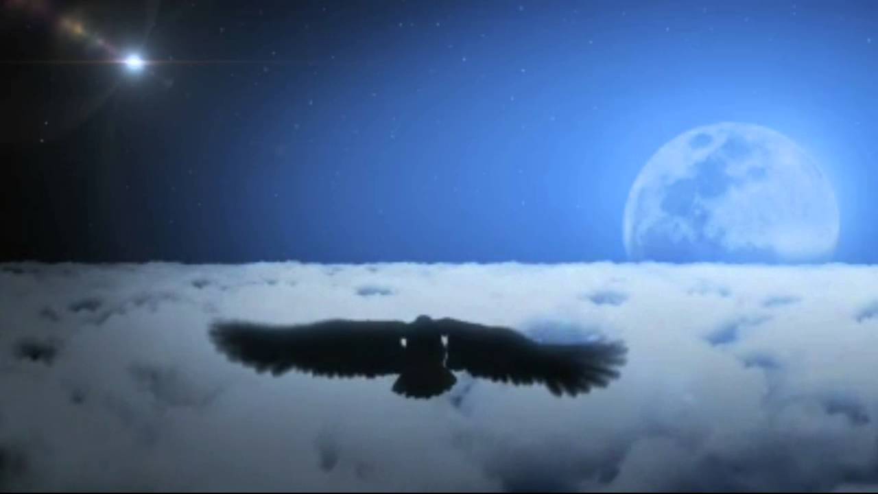Bald Eagle Soaring High In Clouds At Night Background Motion Video