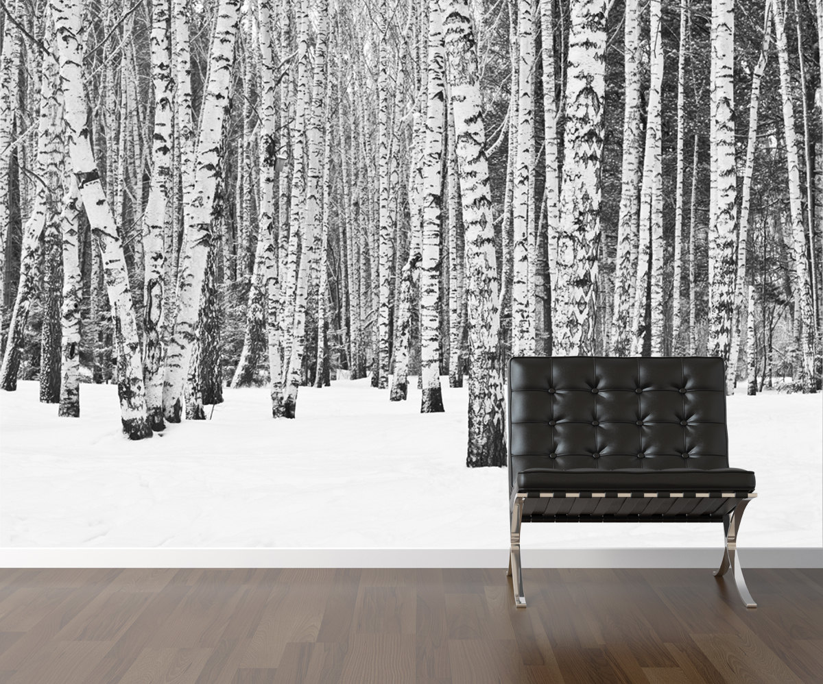 Birch tree wallpaper repositionable peel stick by StyleAwall 1200x998