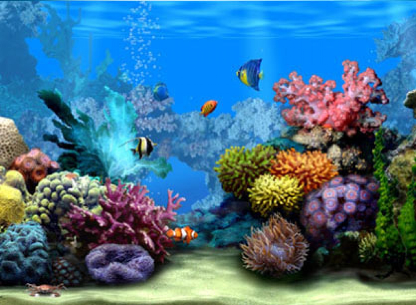 Wallpaper Moving Coral Reef Pixel Popular HD