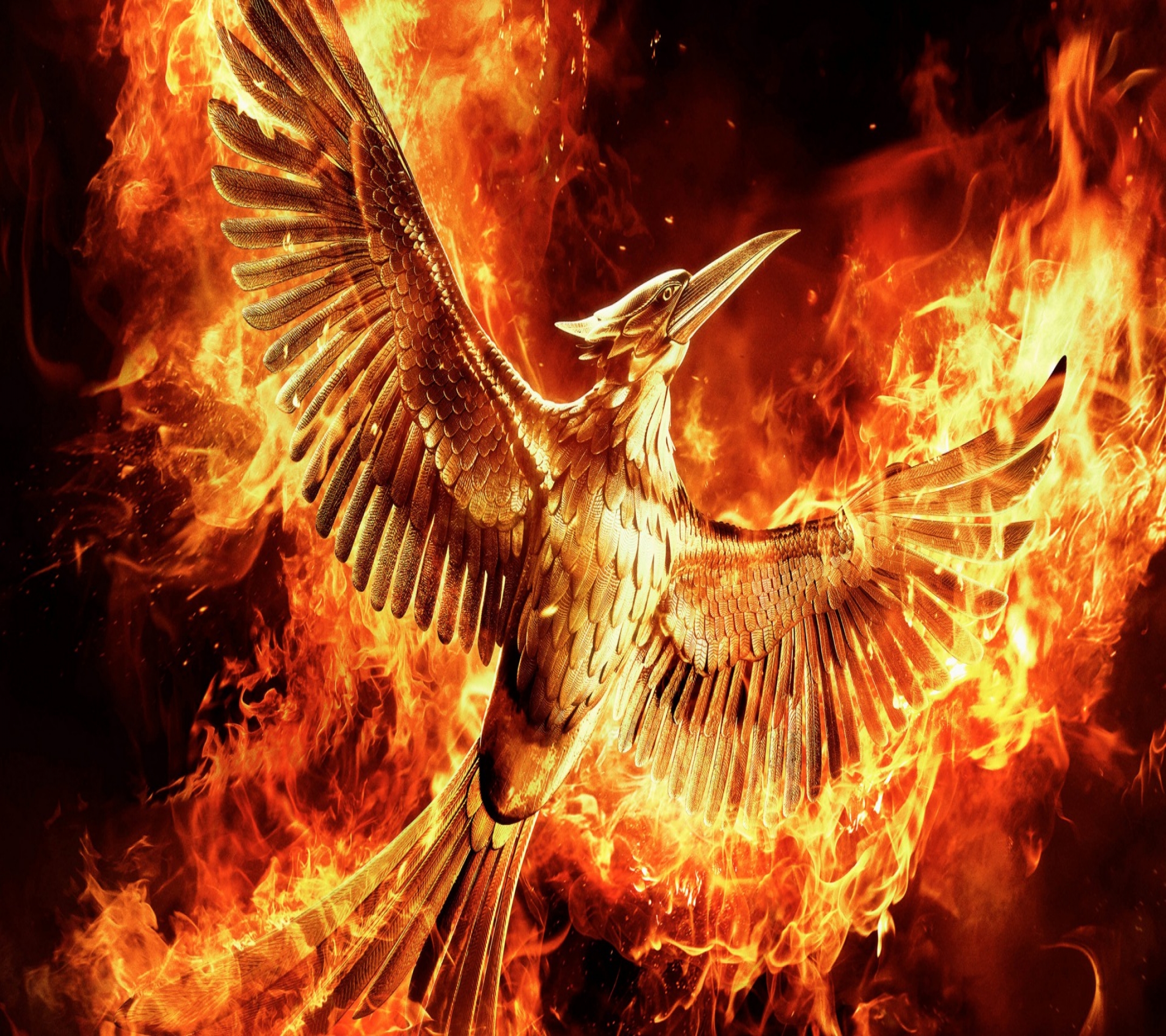 Fire Bird Tap To See HD Wallpaper Of The Hunger Games