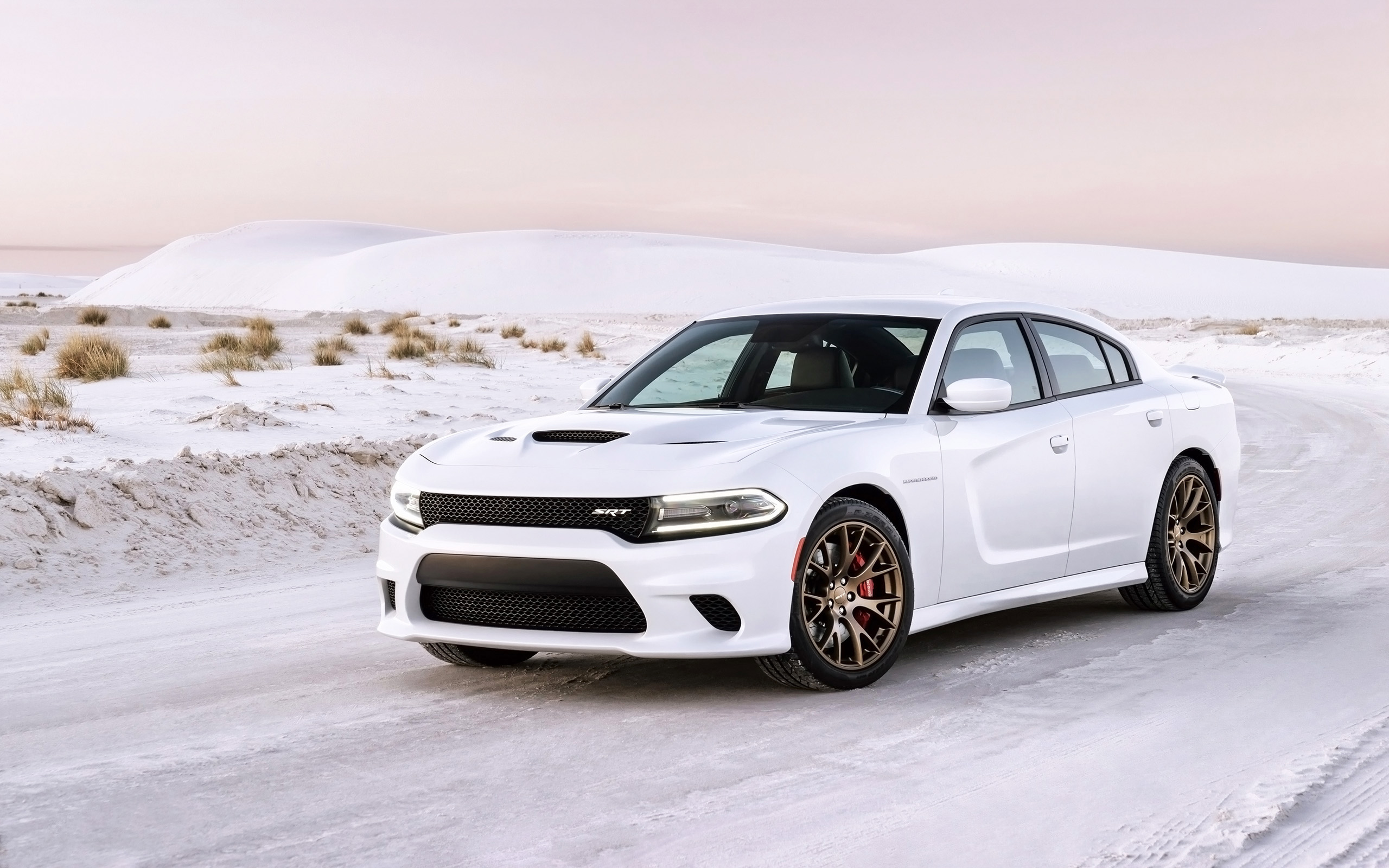 Free download 2015 Dodge Charger SRT Hellcat 4 Wallpaper HD Car Wallpapers  [2560x1600] for your Desktop, Mobile & Tablet | Explore 48+ Dodge Charger  Hellcat Wallpaper | Dodge Charger Wallpaper, Dodge Challenger