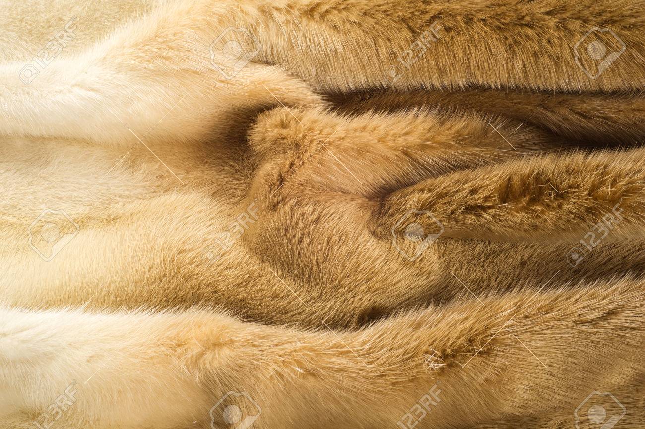 Free download Texture Background Mink Fur Mink Coat Gold Color Mink Fur