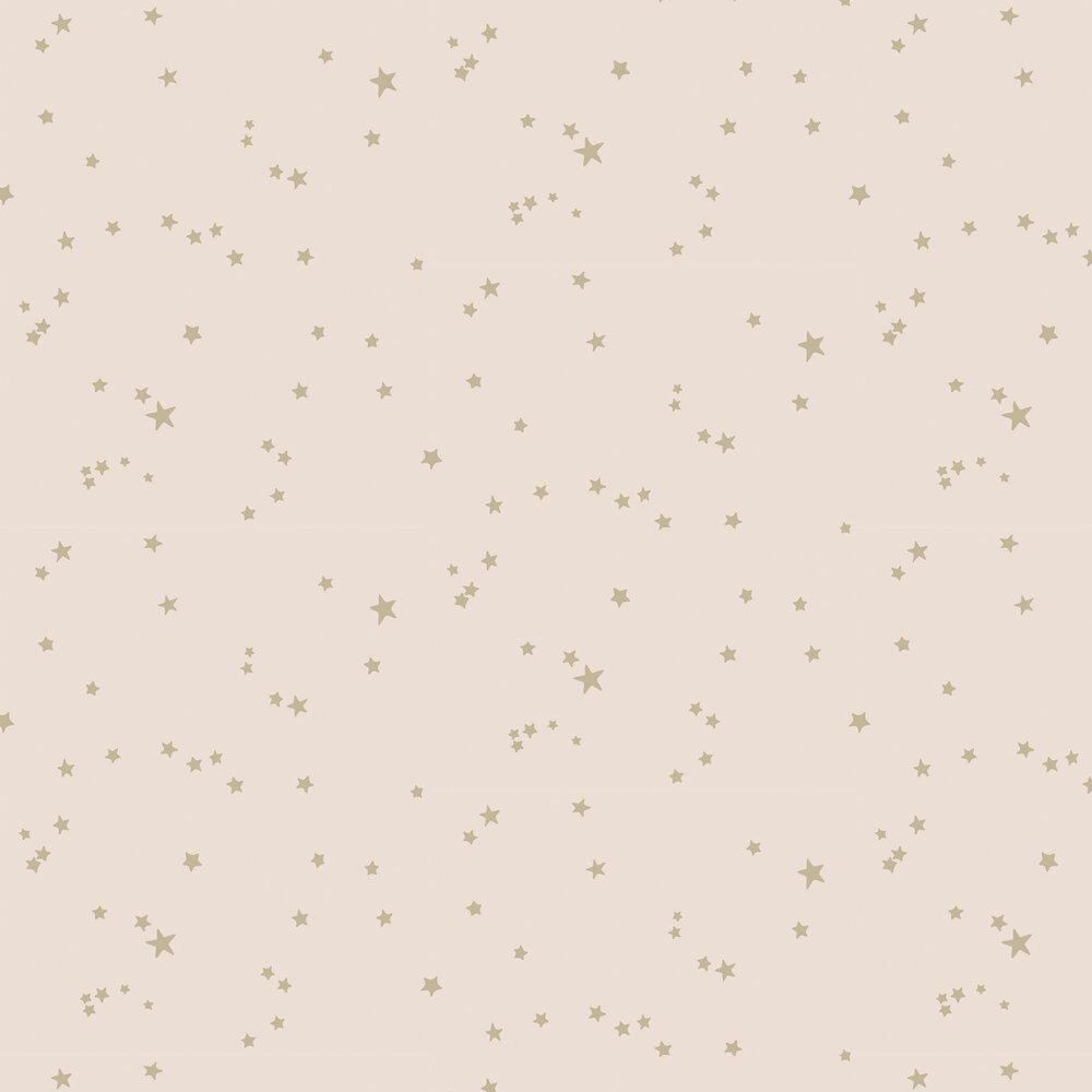 Stars by Cole Son   Pink Gold   Wallpaper Wallpaper Direct 1000x1000
