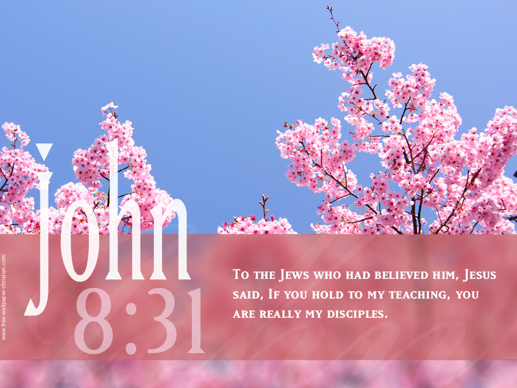 [50+] Bible Verse Wallpaper For Computer | Wallpapersafari.com