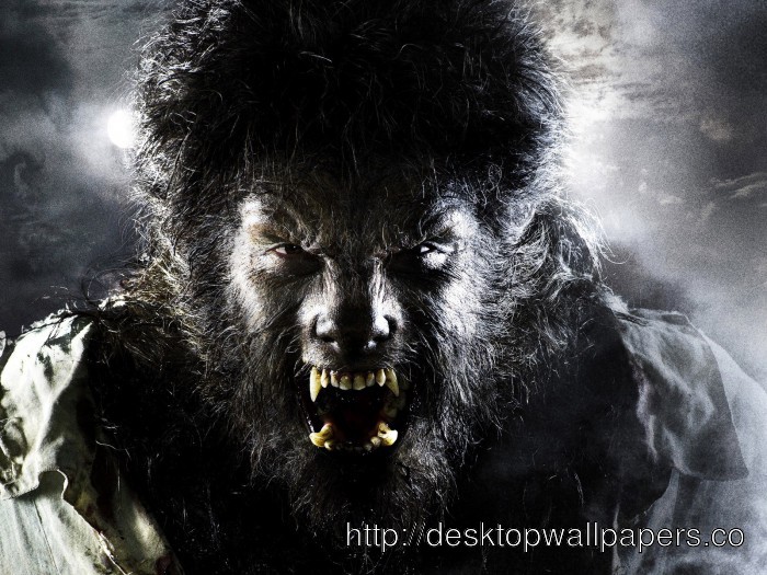 Nice And Beauty Of Werewolf HD Wallpaper Is One Desktop