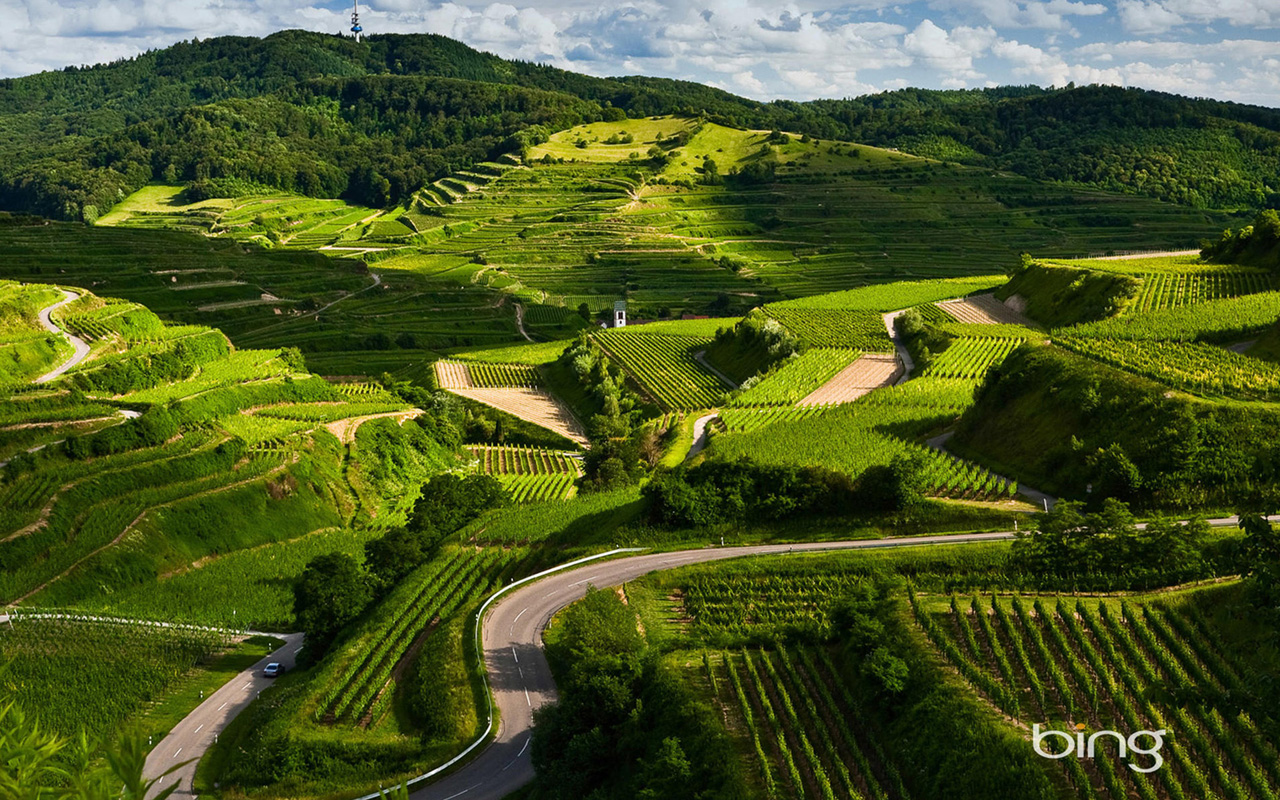 Bing Green Landscape Wallpaper HD S