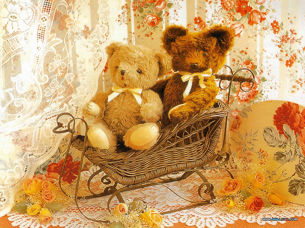 Tags Photos Teddy Bear Picture Wallpaper