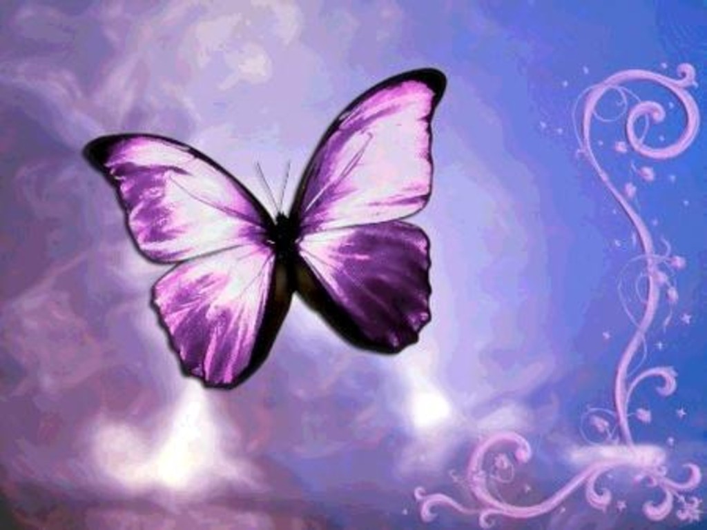 Butterfly Wallpaper Mybarbiegame Cute Purple