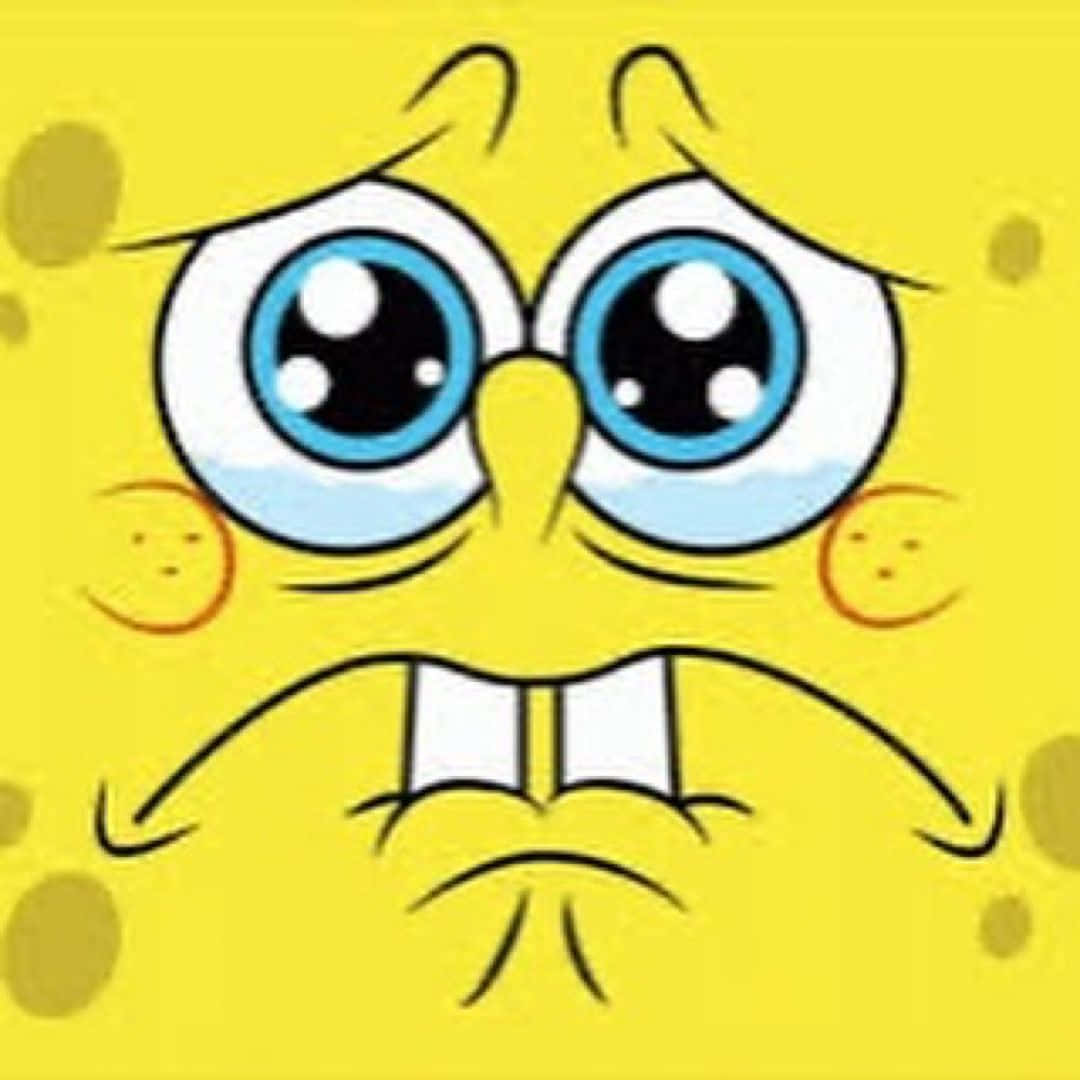Spongebob Crying Wallpaper