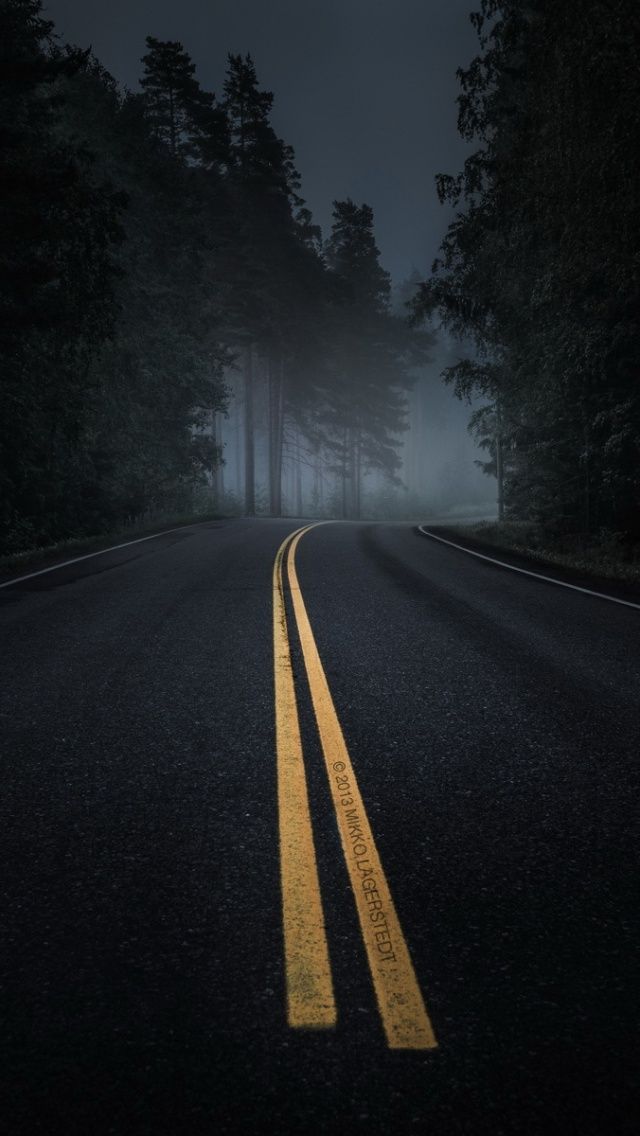 Dark Road Forest Night Mood Wallpaper In Pictures