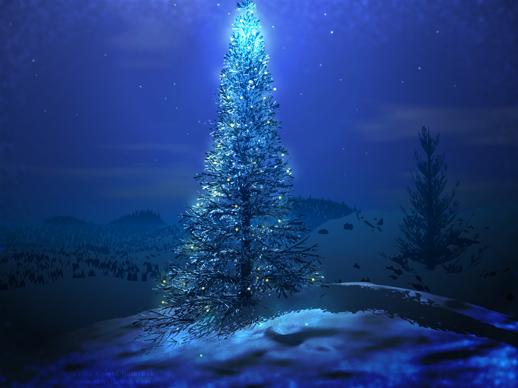 Blue Christmas Tree Wallpaper Photography